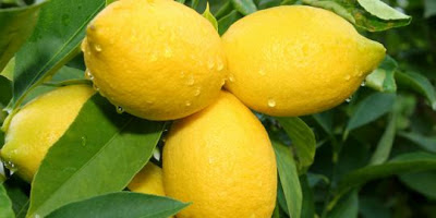 Benefício do limão para saude Humano
