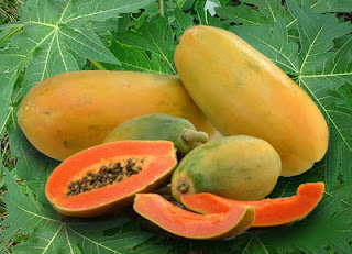 5 Benefícios da fruta da papaia para as Mulheres