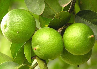 Benefícios limão suco de frutas para Face