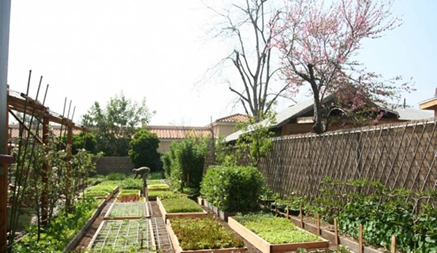 UrbanHomeStead4