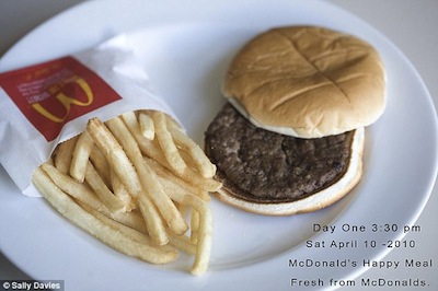 mcdonalds sanduíche podre decomposição