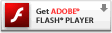 Baixe o Adobe Flash Player