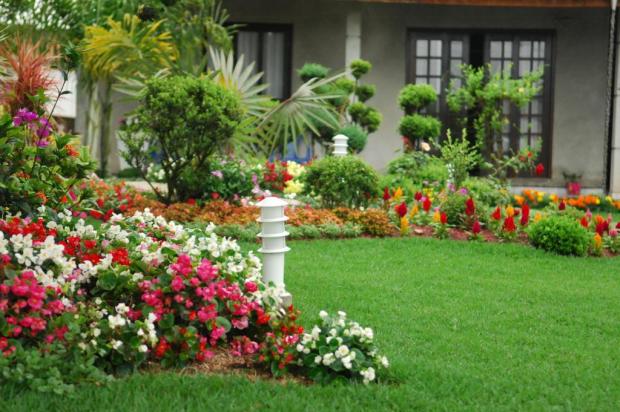 jardim com flores