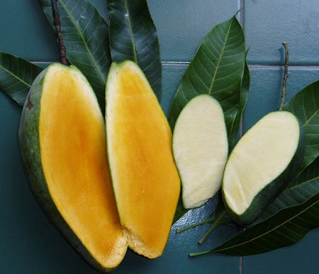 Milhares Benefícios Mango de Vida Saudável