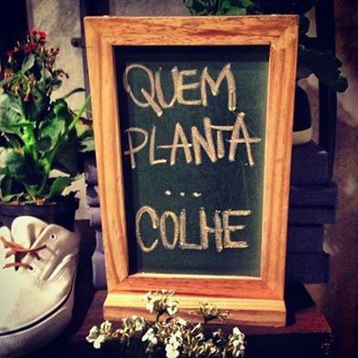 quem planta colhe